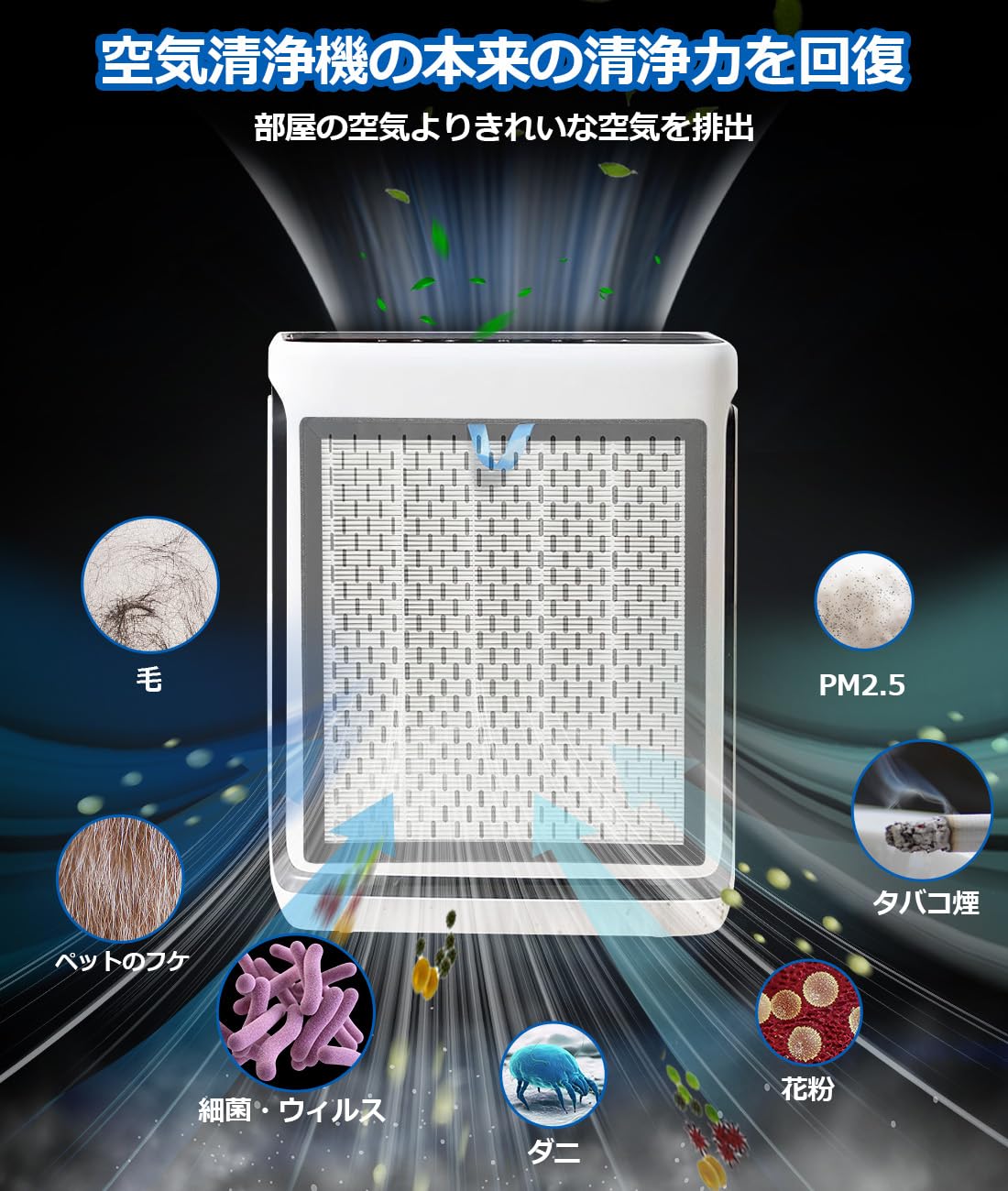 isinlive Vital 100S-RF HEPA交換フィルター ホワイト