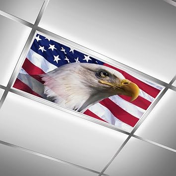 Flag 2ft x 4ft Drop Ceiling Fluorescent Decorative Ceiling Light Cover - USA Flag Eagle American - Skylight Film Filter.Eliminate Harsh Glare Causing Eyestrain and Headaches