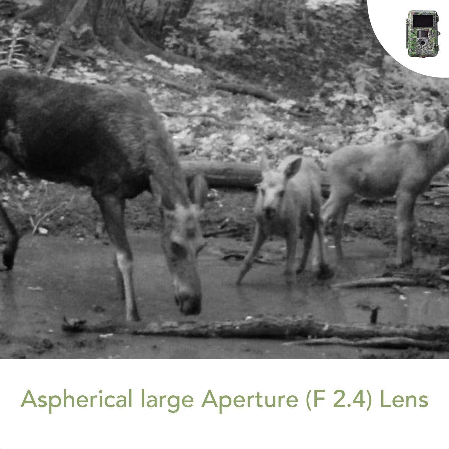 Free Shipping Offer Boly Ultra High Motion Sharp Trail Camera 25MP 1080P Game Camera 100ft Detection with 0.1s Trigger Speed 2.0 LCD IR Waterproof Hunting Camera