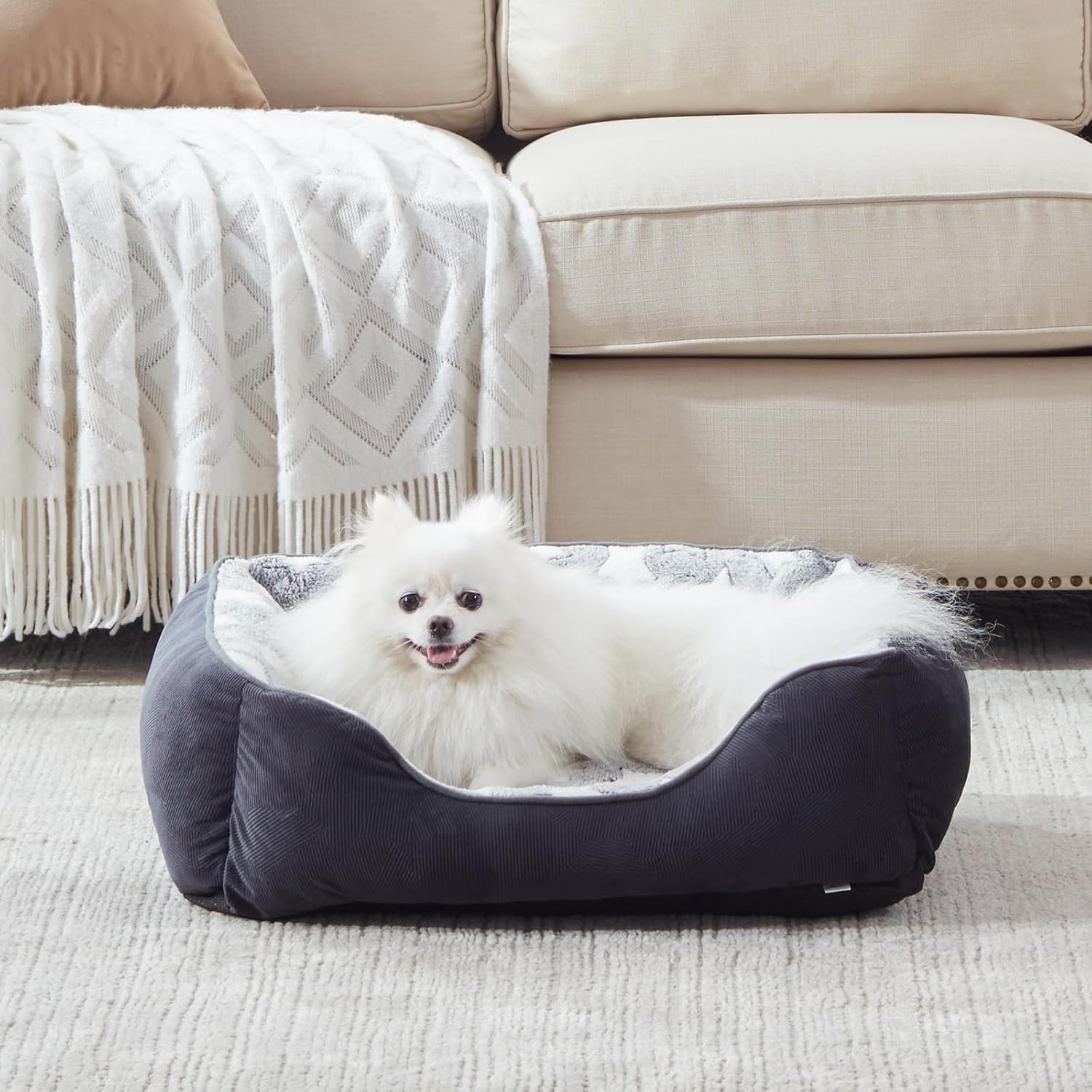 FURTIME Hundebett, kleiner Hundekorb, waschbarer Hundekorb, rutschfeste Hundebetten, flauschige Hundematratze mit erhöhten Kanten, weiches Hundesofa für Hunde und Katzen, S (51 x 48 x 18 cm), Schwarz/Sterne FURTIME Hundebett, kleiner Hundekorb, waschbarer Hundekorb, rutschfeste Hundebetten, flauschige Hundematratze mit erhöhten Kanten, weiches Hundesofa für Hunde und Katzen, S (51 x 48 x 18 cm), Schwarz/Sterne