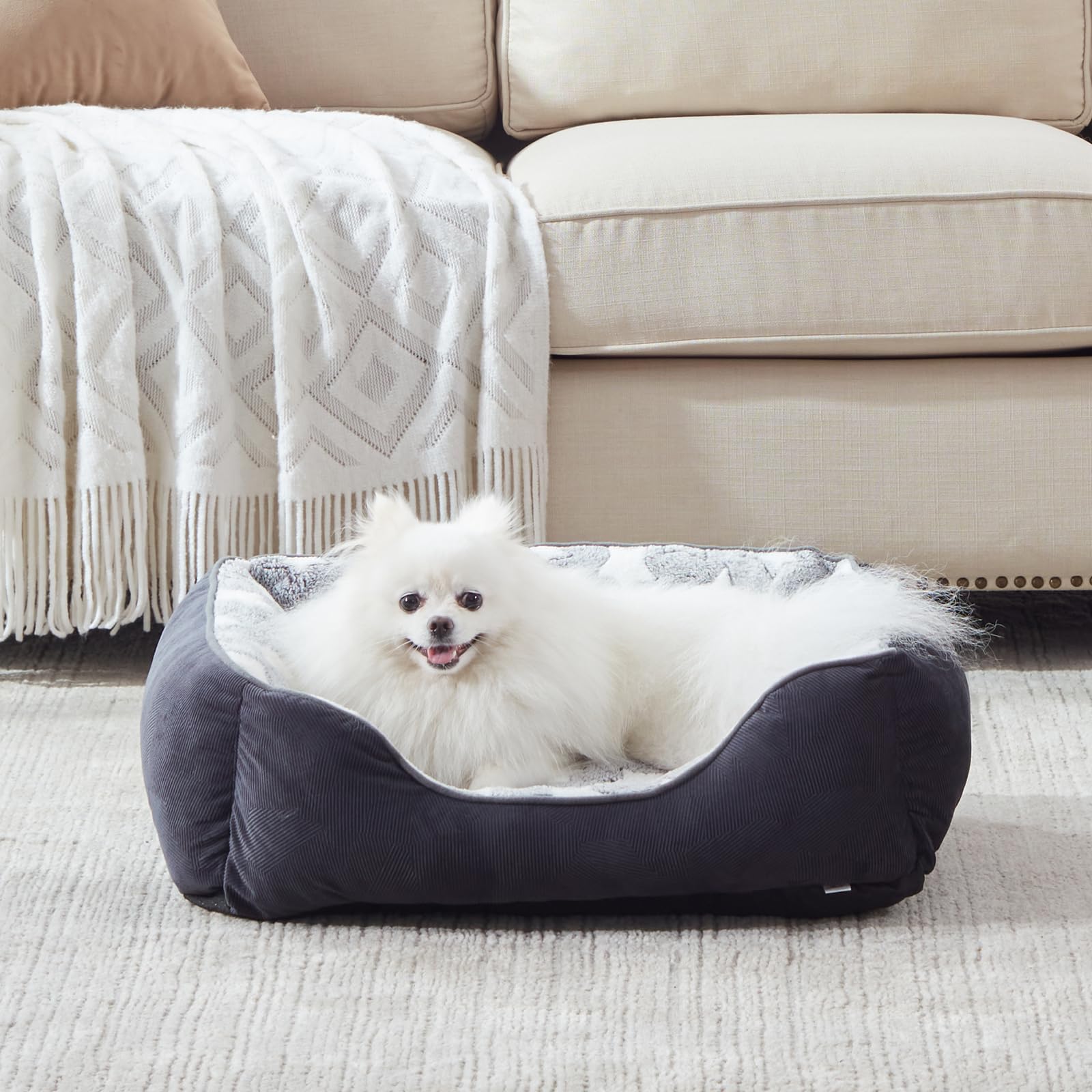 FURTIME Cuccia Cane Letto per Cani Cuscino Lavabile e Antiscivolo Lettino Morbido Divano per Cani Cuccia Cane Interno Taglia Piccola Brandina per Gatto S(51x48x18cm) Nero
