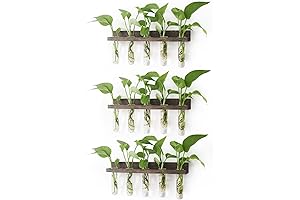 3-Tier Plant Propagation Glass Tubes-Adorn Your Home with Flourishing Plant Life