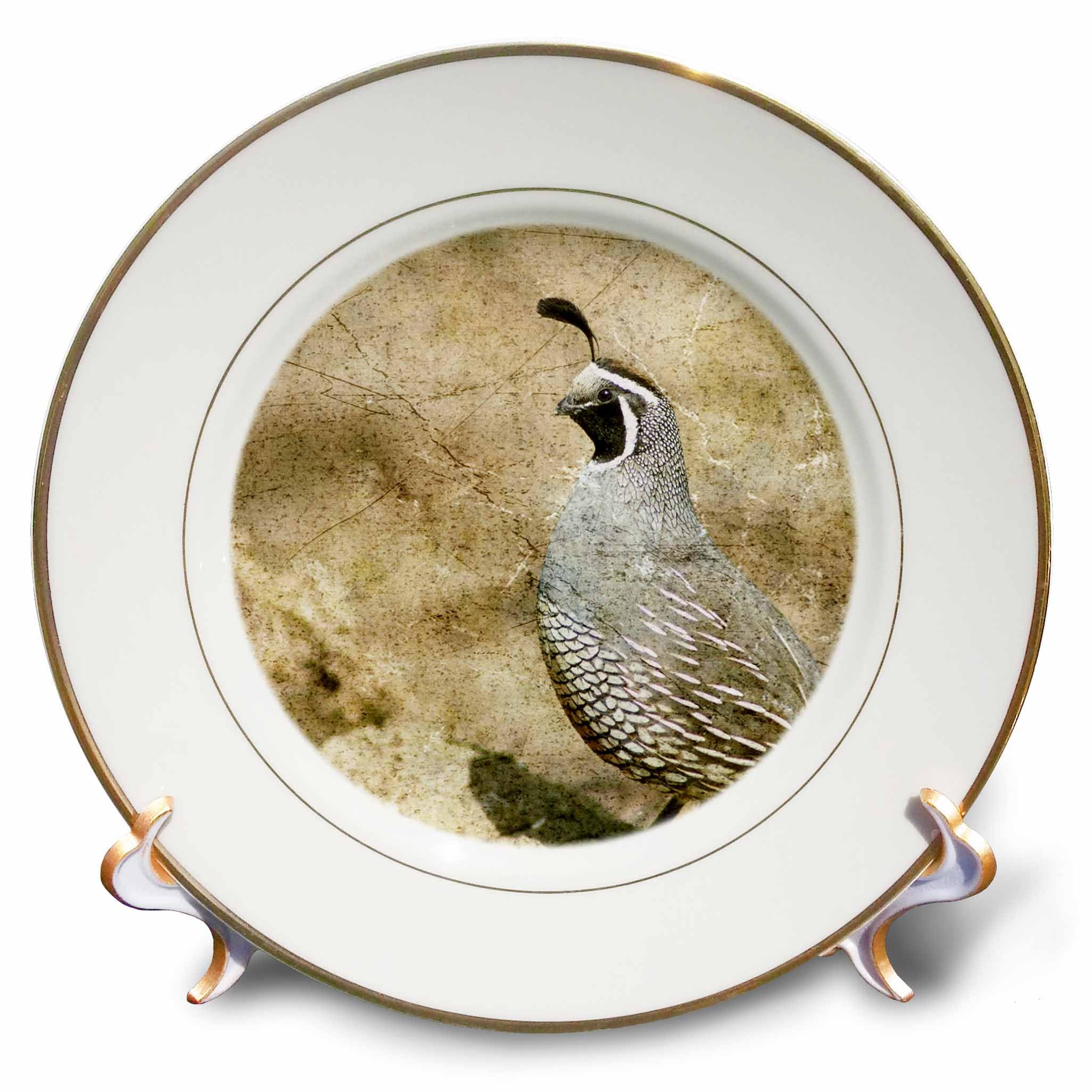 3dRose cp_12394_1 California Quail with Textures Porcelain Plate, 8