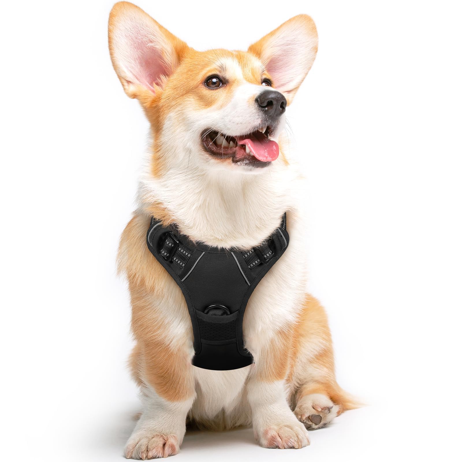 Eagloo Pettorina Cane Taglia Media, Pettorina ad h Antifuga, Imbracatura per Cani Anti Tiro con Doppio Gancio, Imbracatura Robusto e Regolabile per Addestramento Passeggiate, M, Nera