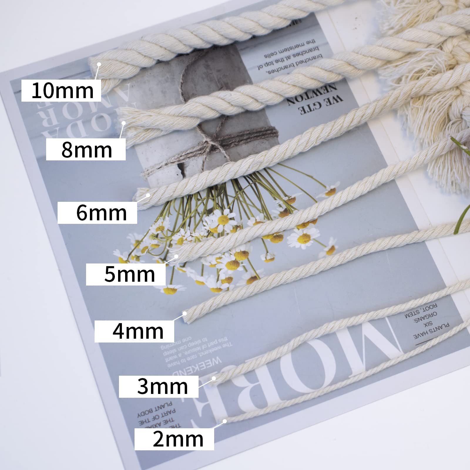 Corda Per Macramè LEREATI - Cotone Naturale 6mm X 20m - 39 Colori Disponibili - Per Arazzi, Piante Sospese E Fai Da Te