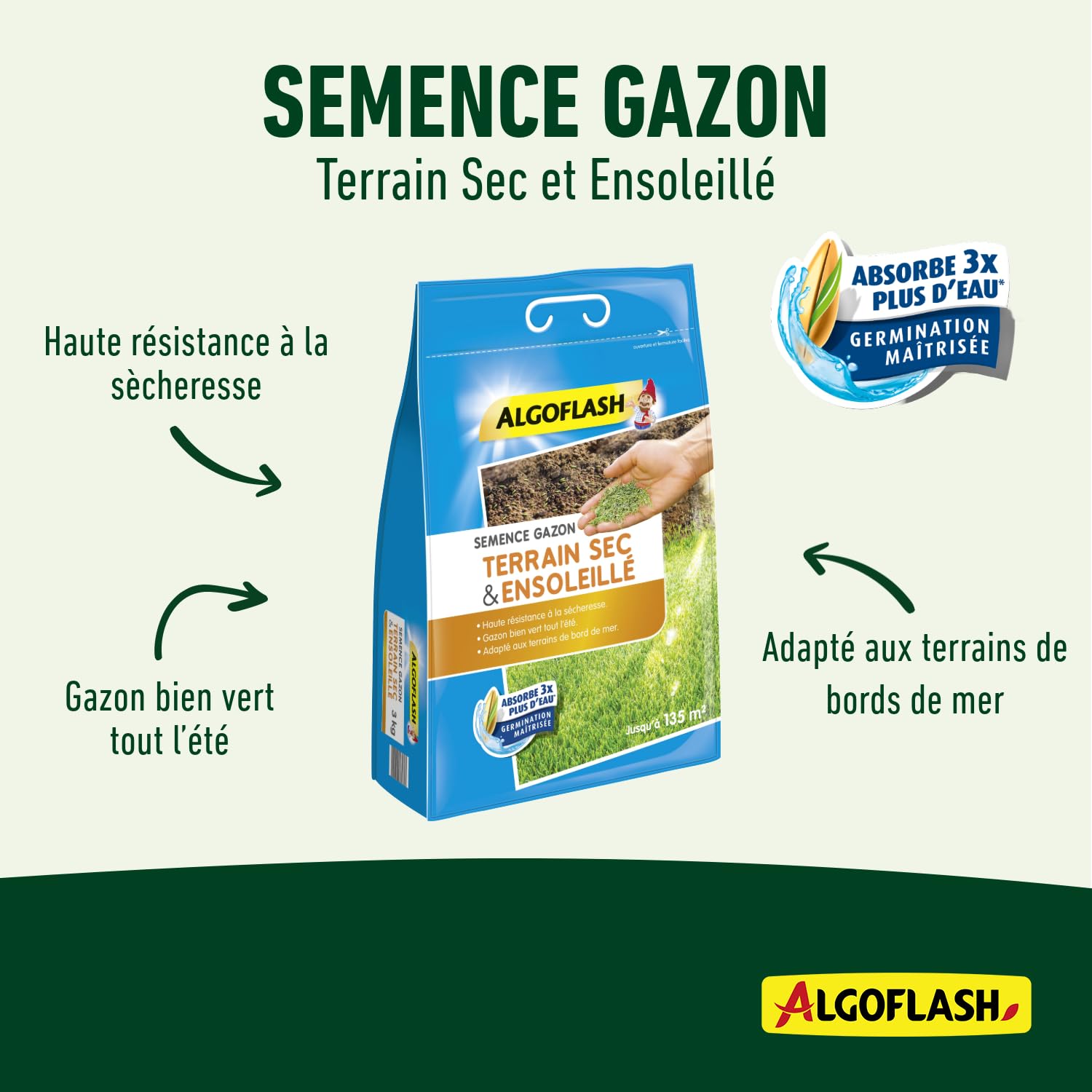 ALGOFLASH Semence Gazon Terrain Sec et Ensoleillé, 3 Kg, Jusqu'à 135 m², SEMSOL3