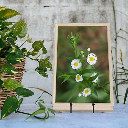 Miniatura 5 de Ouskr Soportes de placa para exhibición, 4 soportes de 4-14 pulgadas, soporte de metal de hierro para marco de fotos, caballetes pequeños, placa de