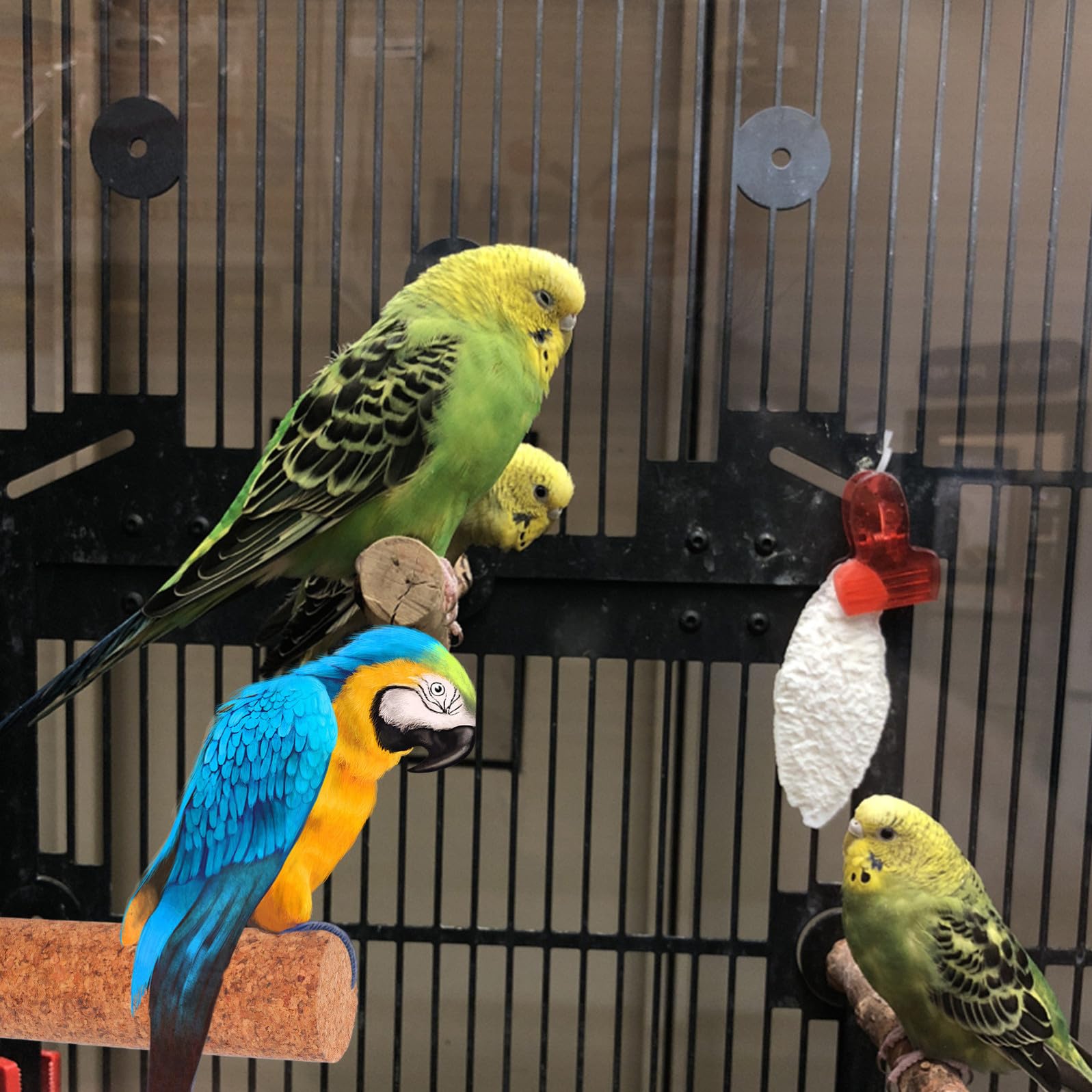 minkissy Supporto in Legno per Pappagalli Funzione Lima Unghie per Gabbie, Posatoio Resistente per Pappagallo la Cura e Gioco
