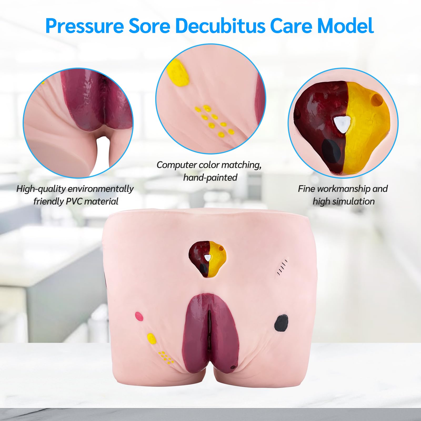 Modèle d'Ulcère de Décubitus Gériatrique, 4 Étapes Modèle d'Ulcère de Pression Avancé Kit de Modèle de Plaie avec Carte de Manuel de Produit pour l'Étude de l'Éducation Médicale