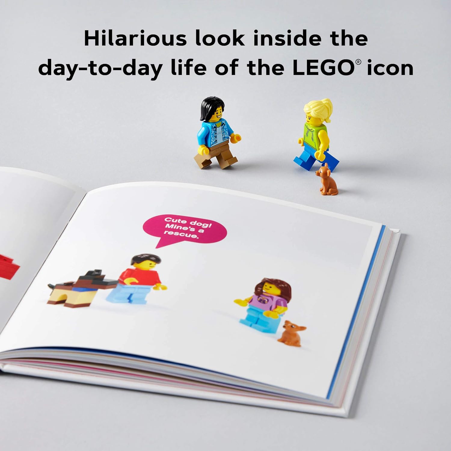 LEGO Small Parts: The Secret Life of Minifigures (LEGO x Chronicle Books) - Image 9