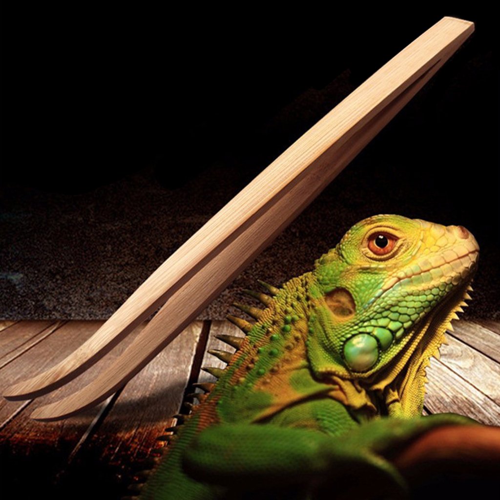 HYBEW 11in Feeding Tweezers Bamboo Long Curved Tweezers Curved Forceps for Reptiles