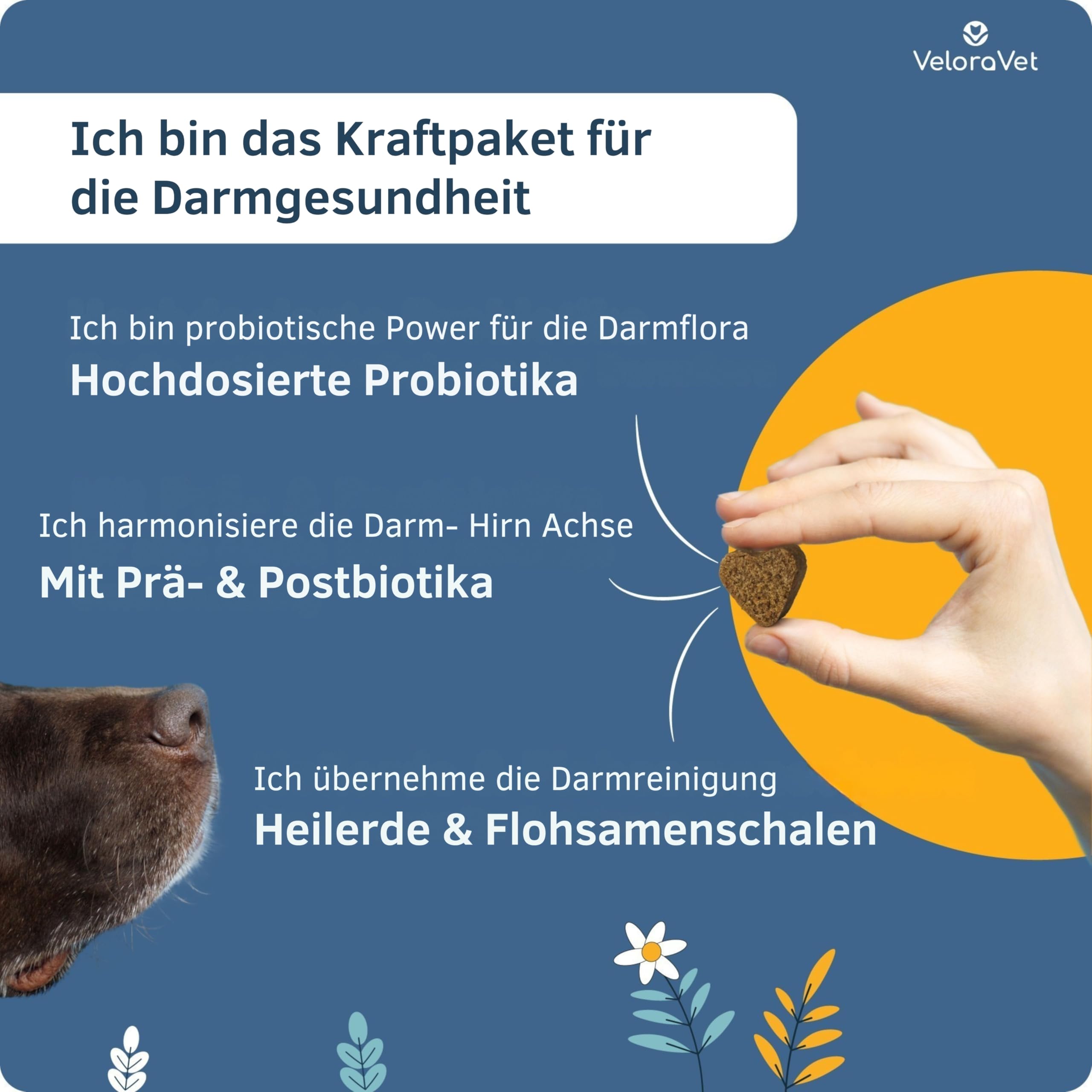 Probiotika Hund – Magen Darmsanierung & Darmkur für Hunde-Darmflora, Präbiotika, Flohsamenschalen & Heilerde, Tierärztlich empfohlen bei Durchfall, Sodbrennen – 70 Probiotika Tabletten