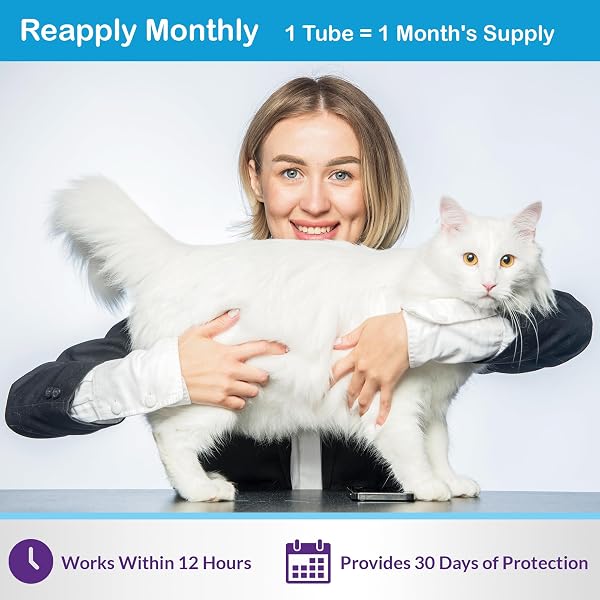 Topical Flea and Tick for Large Cats: Waterproof Topical Cat Flea and Tick – Fast-Acting & Long-Lasting at Home Control for Cats Over 9 lbs and 8 Weeks or Older – 6-Dose Supply - 4