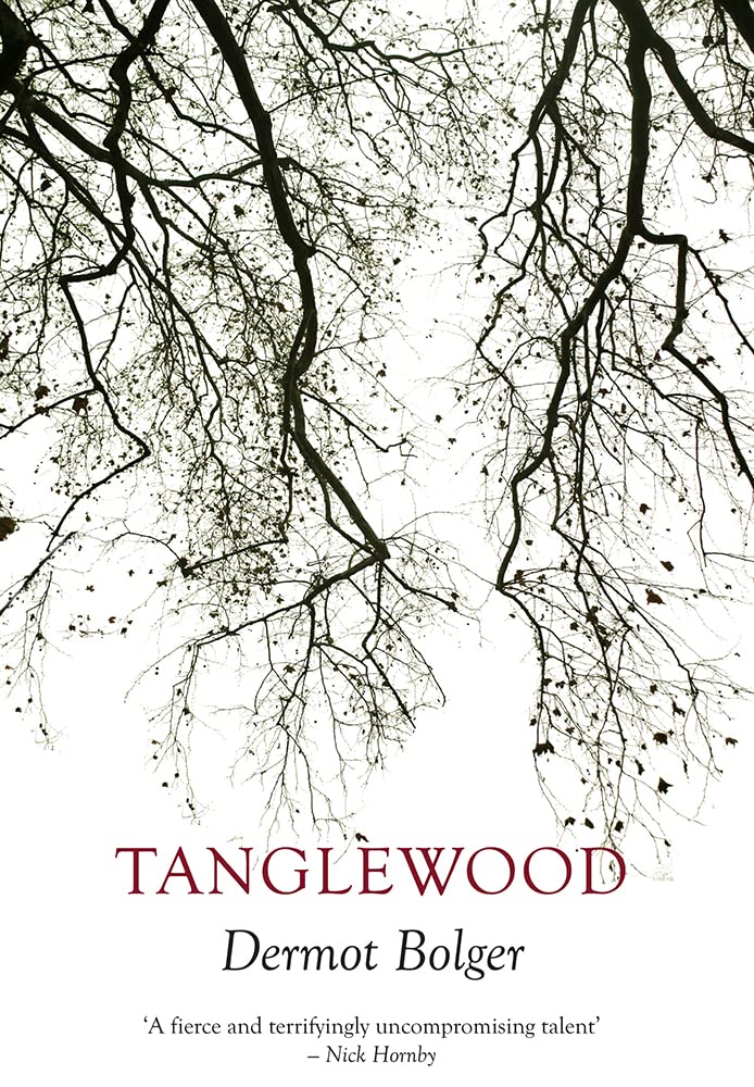 Dermot Bolger: Tanglewood [2015] paperback