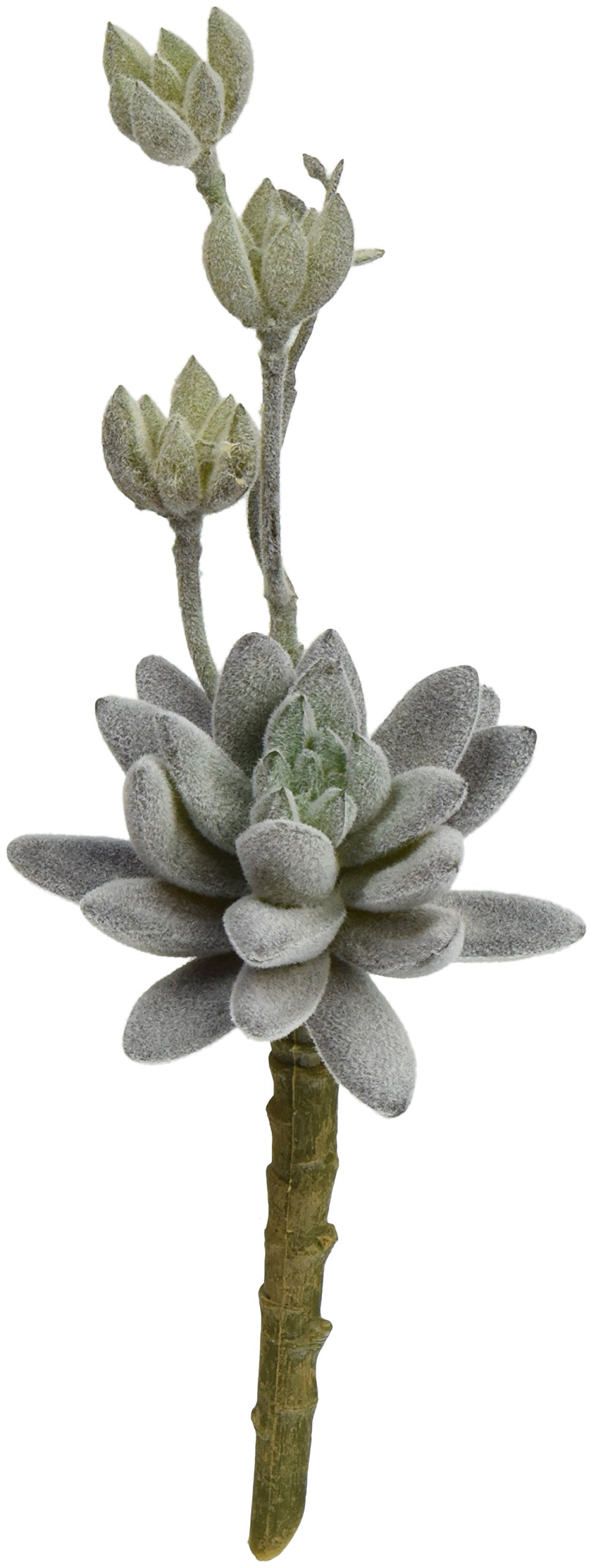 Shinoda Design CenterFrosted 2pc Stems 6.5" Purple Faux Hen & Chick Succulent 2Stems, 2 Piece