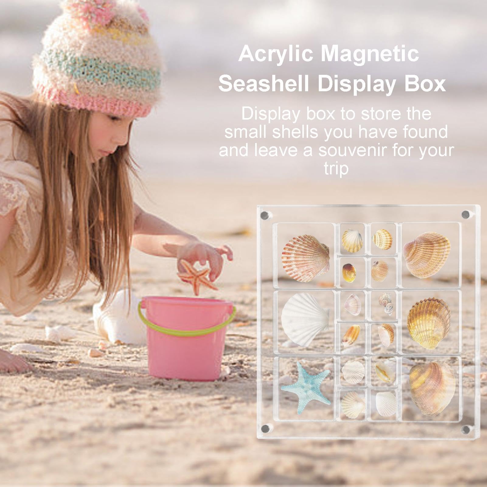 Amazon｜アクリル磁気貝殻ディスプレイボックス、貝殻ディスプレイ