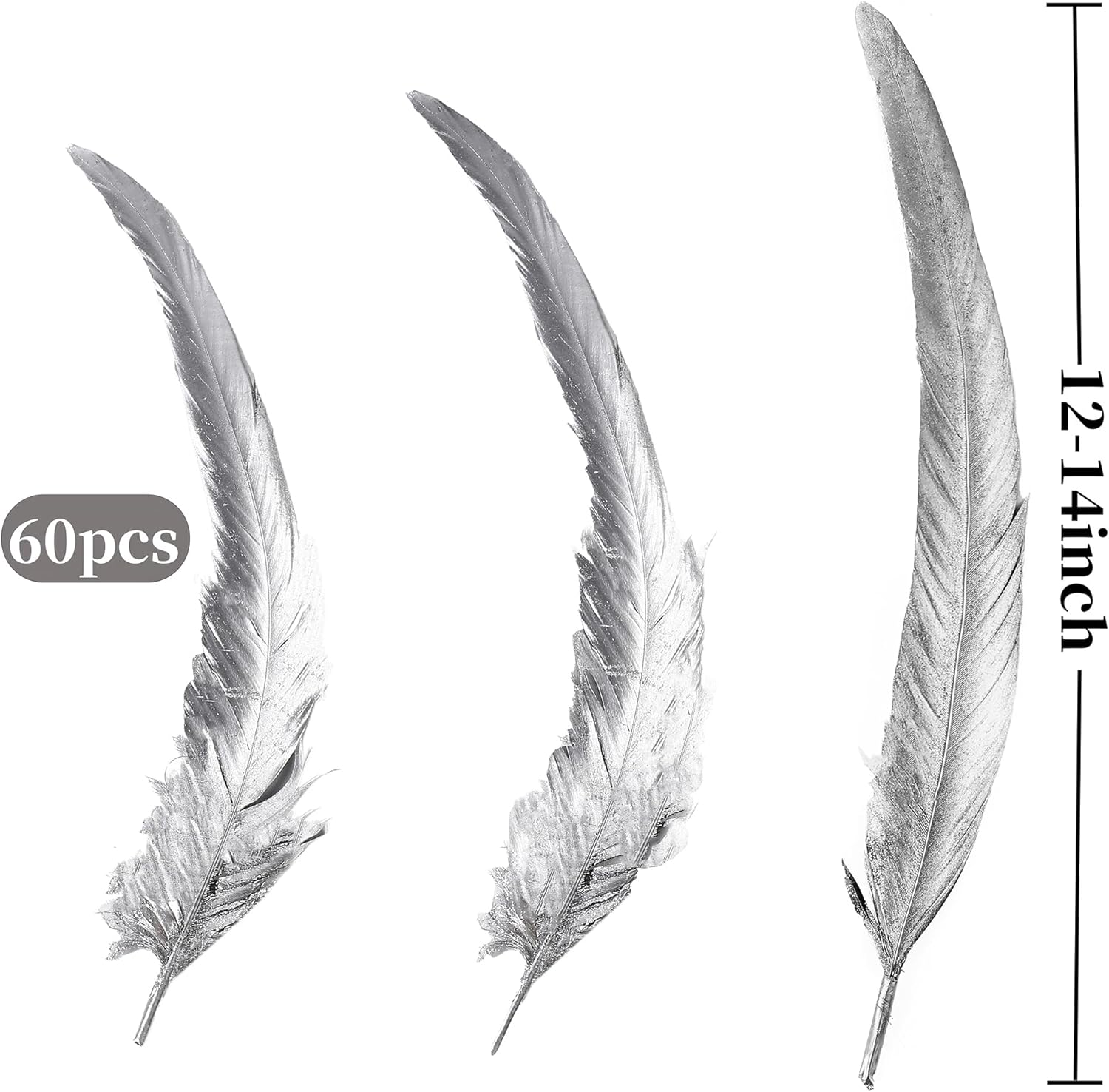 Holmgren Silver Rooster Tail Feathers - 60pcs 12-14inch Long Rooster Tail Feathers Bulk for DIY Crafts Costume and Halloween Party Performances Decoration (Silver)
