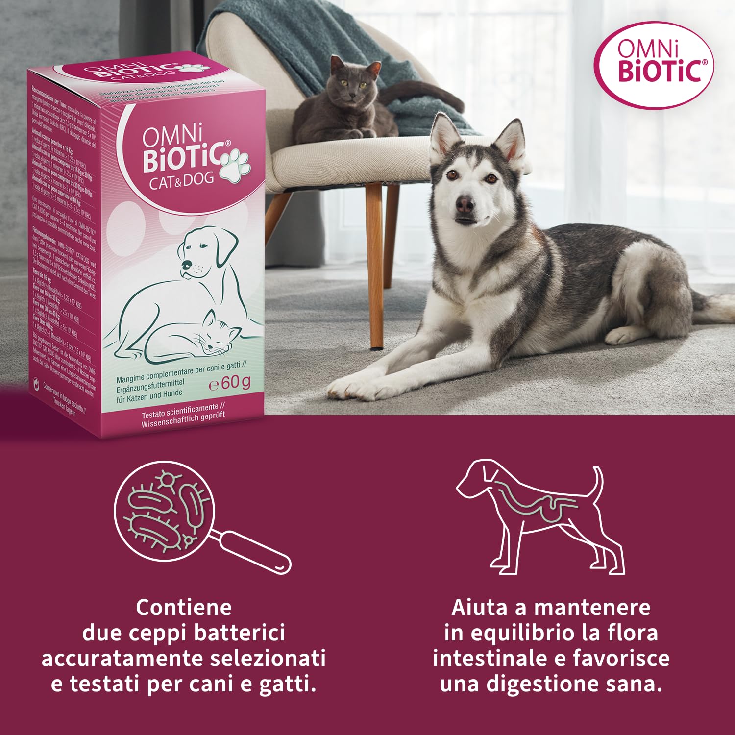 OMNi BiOTiC Cat & Dog | Polvere | Senza OGM | Senza glutine | 60g