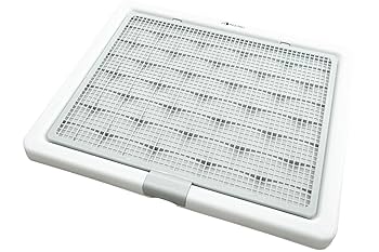 イヌラボ　トイレトレー　XXL ブラウン イヌラボ トイレトレー XXL ブラウン Amazon | INULABO