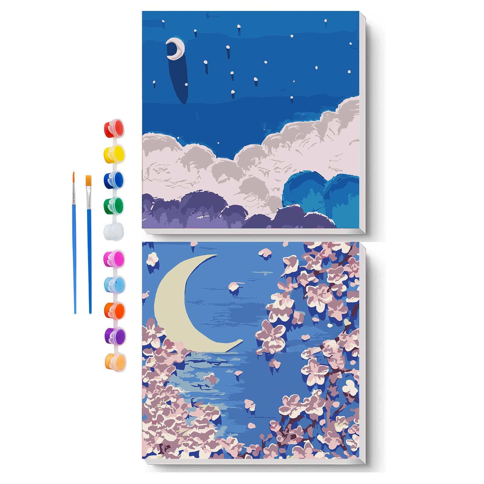 WMM 2 Framed DIY Paint by Numbers for Adults Beginner (Blue)