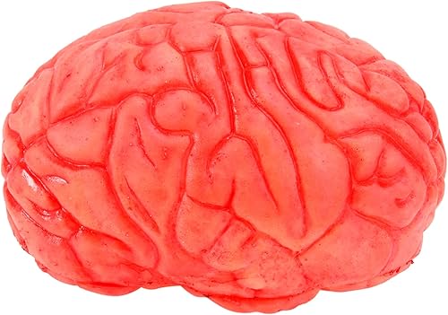 Accesorios para fiesta de Halloween, accesorios sangrientos de Halloween, accesorios de Halloween, cerebro falso, prótesis, cuerpo de mano