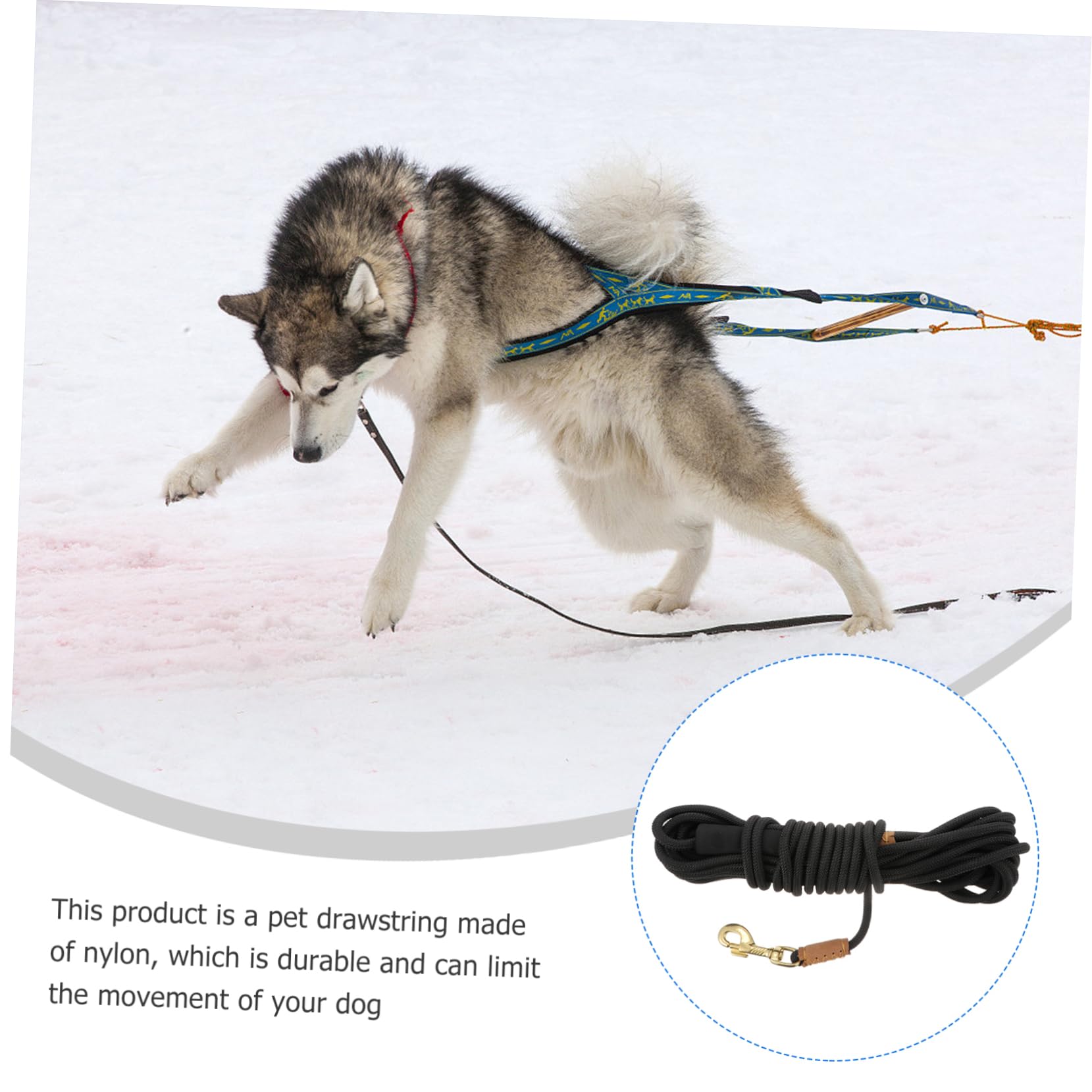 ibasenice Laisse De Promenade pour Chien Corde De Traction Laisse Entraînement pour Marche Corde De Sécurité pour Chien