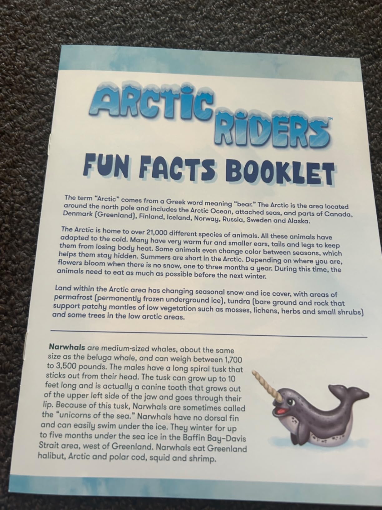 Amazon.com: SimplyFun Arctic Riders - Educational & Fun Math Games for ...