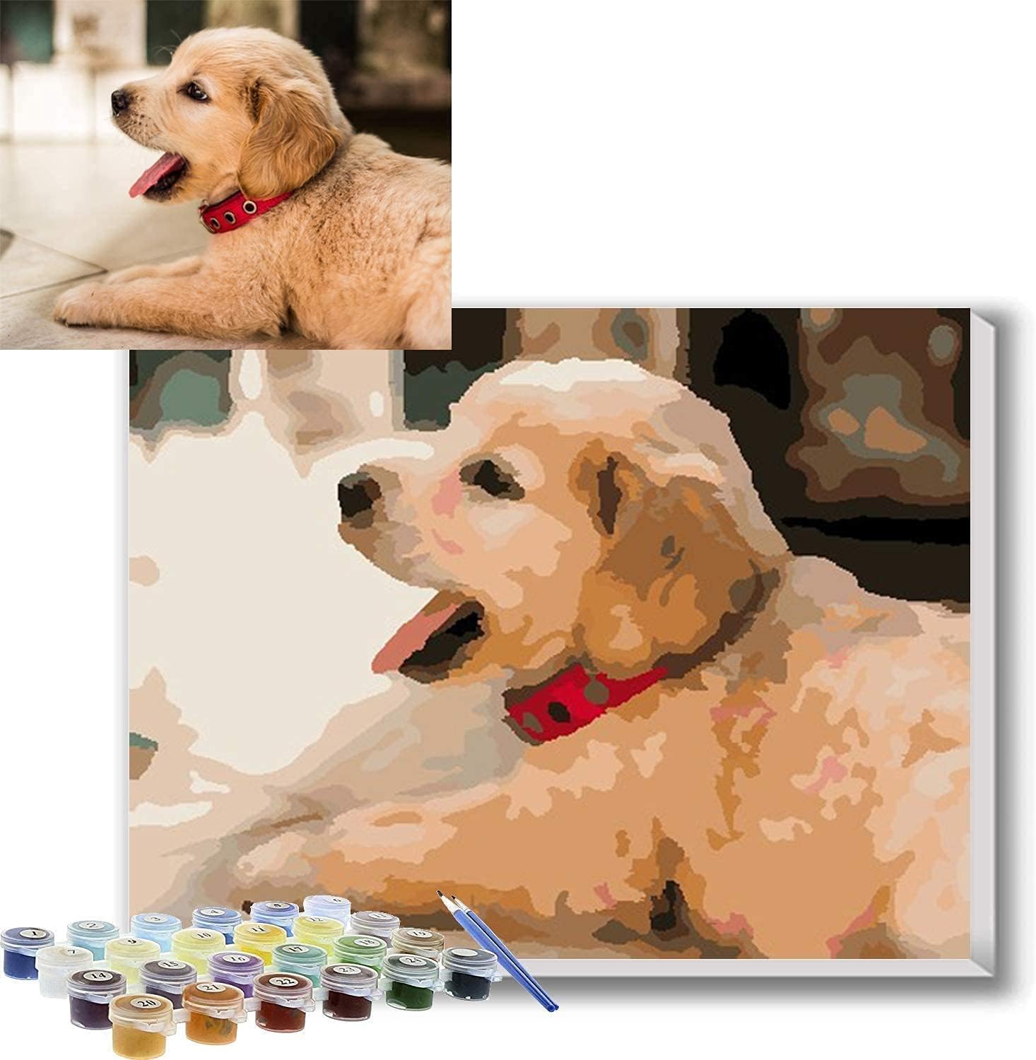 DUANTAI Personalized Paint by Numbers Kit for Adults, Customized DIY Paint by Numbers Set Gifts for Birthday Anniversary 30 * 40CM (12 * 16'')