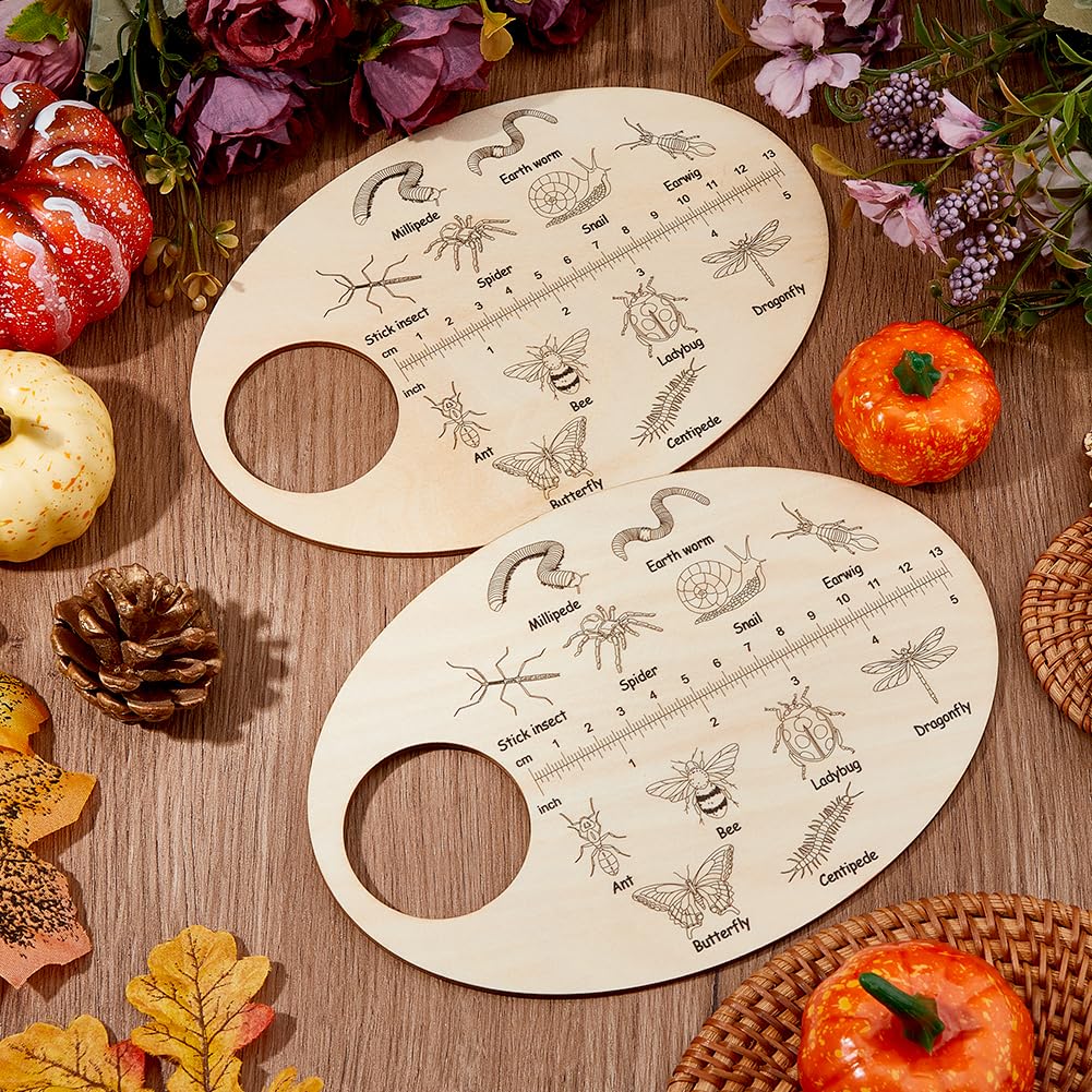 SUPERFINDINGS 2PCS Insect Wooden Custom Insects Exploration Board Educational Learning Gift Learning Insect Plywood Insects ID Search Board for Boys Girls 3-5 Early Education School - Image 4