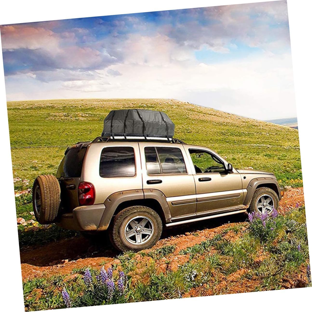 Sosoport Car Cargo Roof Bag Oxford Rooftop Carrier with Non-Slip Mat Reinforced Straps Easy Installation Storage for SUV Sedan Camping