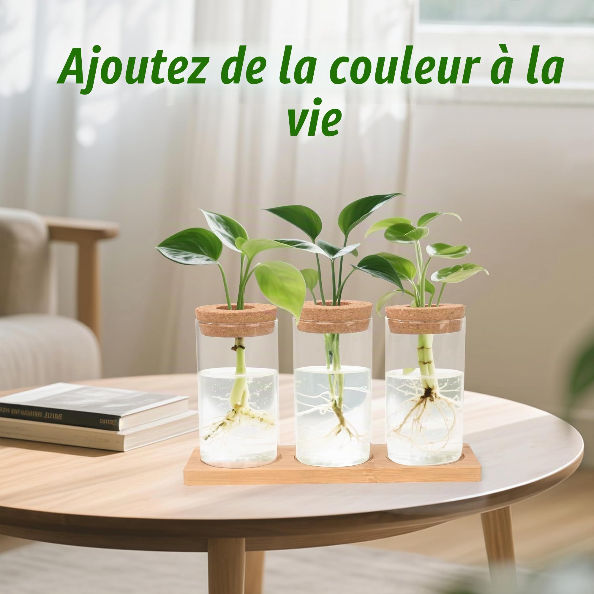 Stations de Propagation de Plantes Vases Hydroponiques avec Socle et Bouchons en Bois 3 Pièces pour Plantes Aquatiques ou Fleurs
