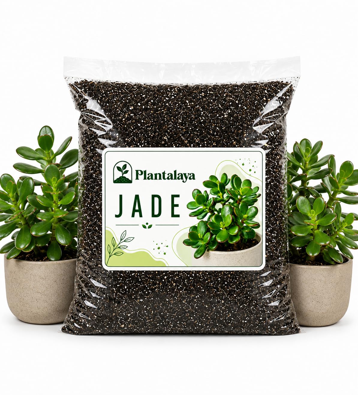 Jade Plant Potting Mix – Free Draining Succulent Soil Blend for Crassula Ovata Money Plant & Succulents – Premium Growing Medium for Healthy Roots & Strong Growth (2.5 Litres)