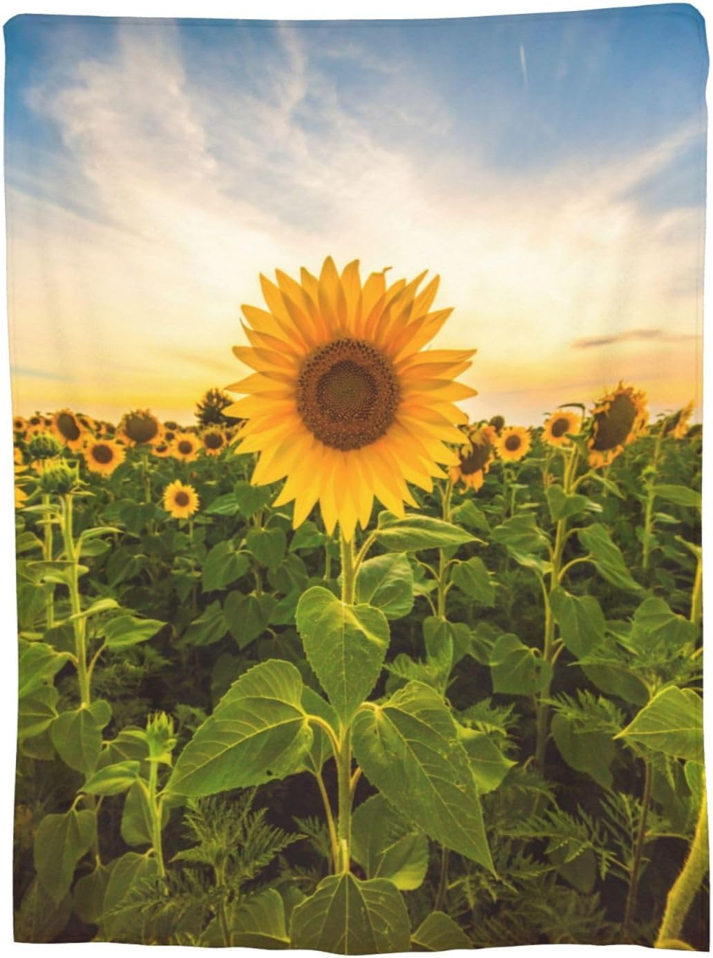 Sunflower Field Landscape Blanket Sunlight Sunflower Gifts Soft Warm
