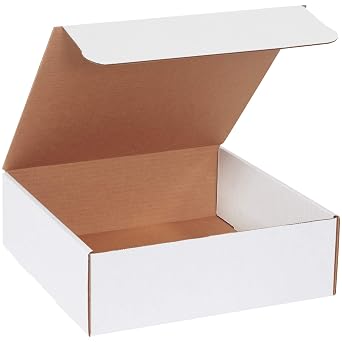 Poly Bag Guy Literature Mailers 12" x 12" x 4", White, 50/Bundle