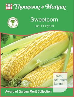 Thompson & Morgan - RHS Vegetables - Sweetcorn Lark F1 Hybrid - 25 Seed