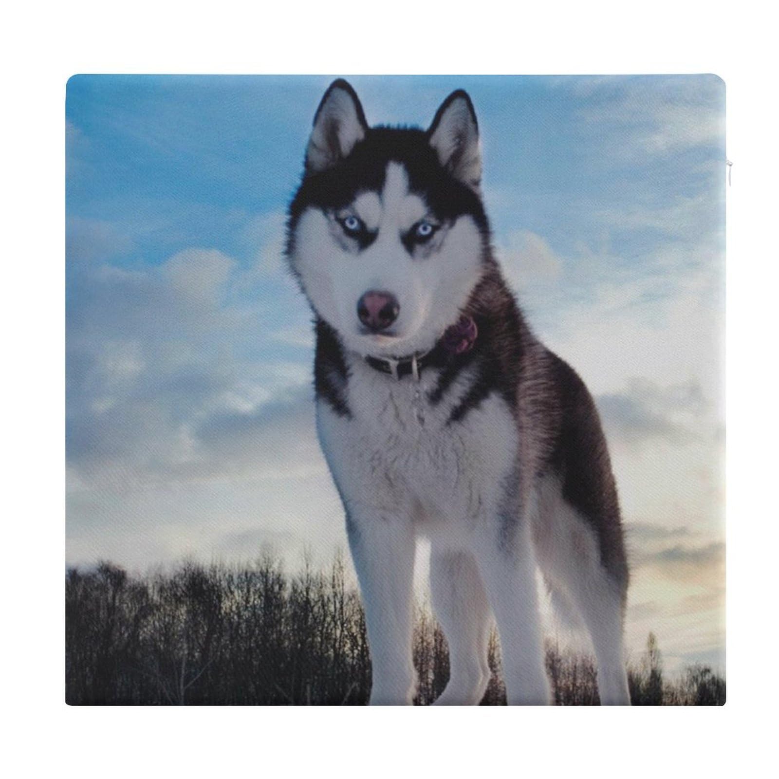 Coussin de chaise pour salle à manger et bureau à motif Husky