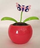 Solar Animated Dancing Butterfly Flower