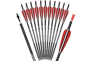 Hunting Arrows and Bolts: Precision and Impact for Every Shot