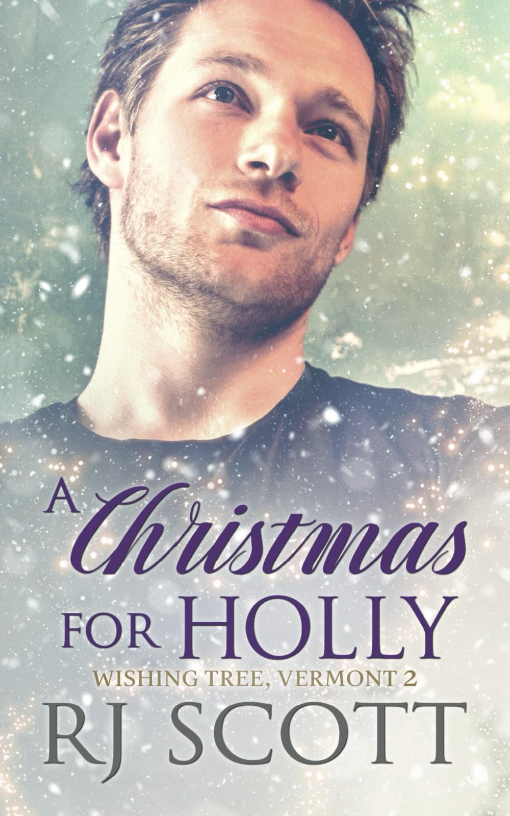 A Christmas For Holly (Wishing Tree Vermont)