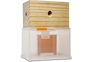 Wood Bee Catcher: The Ultimate Solution for Carpenter Bee Infestations