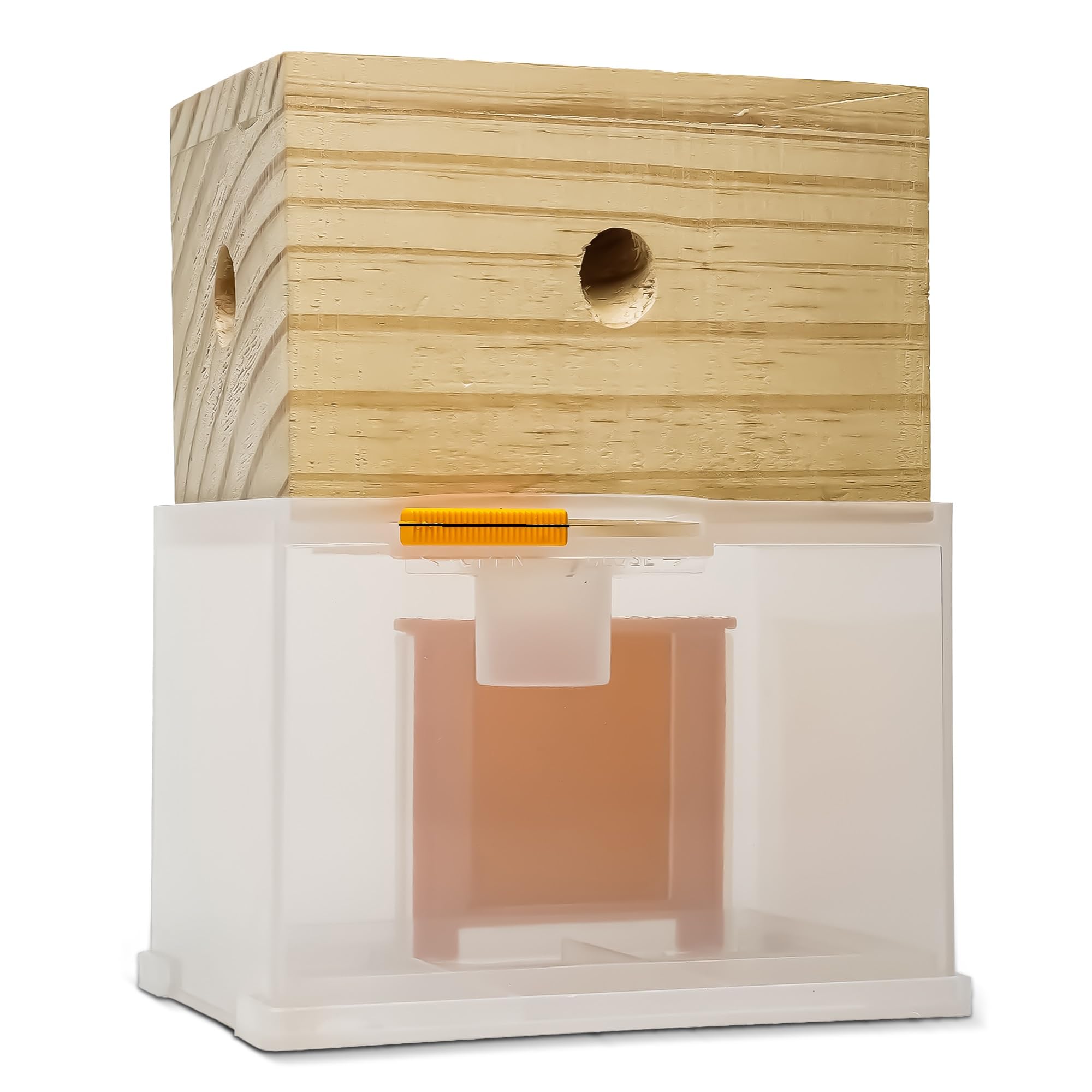 Bee Warehouse Carpenter Bee Trap