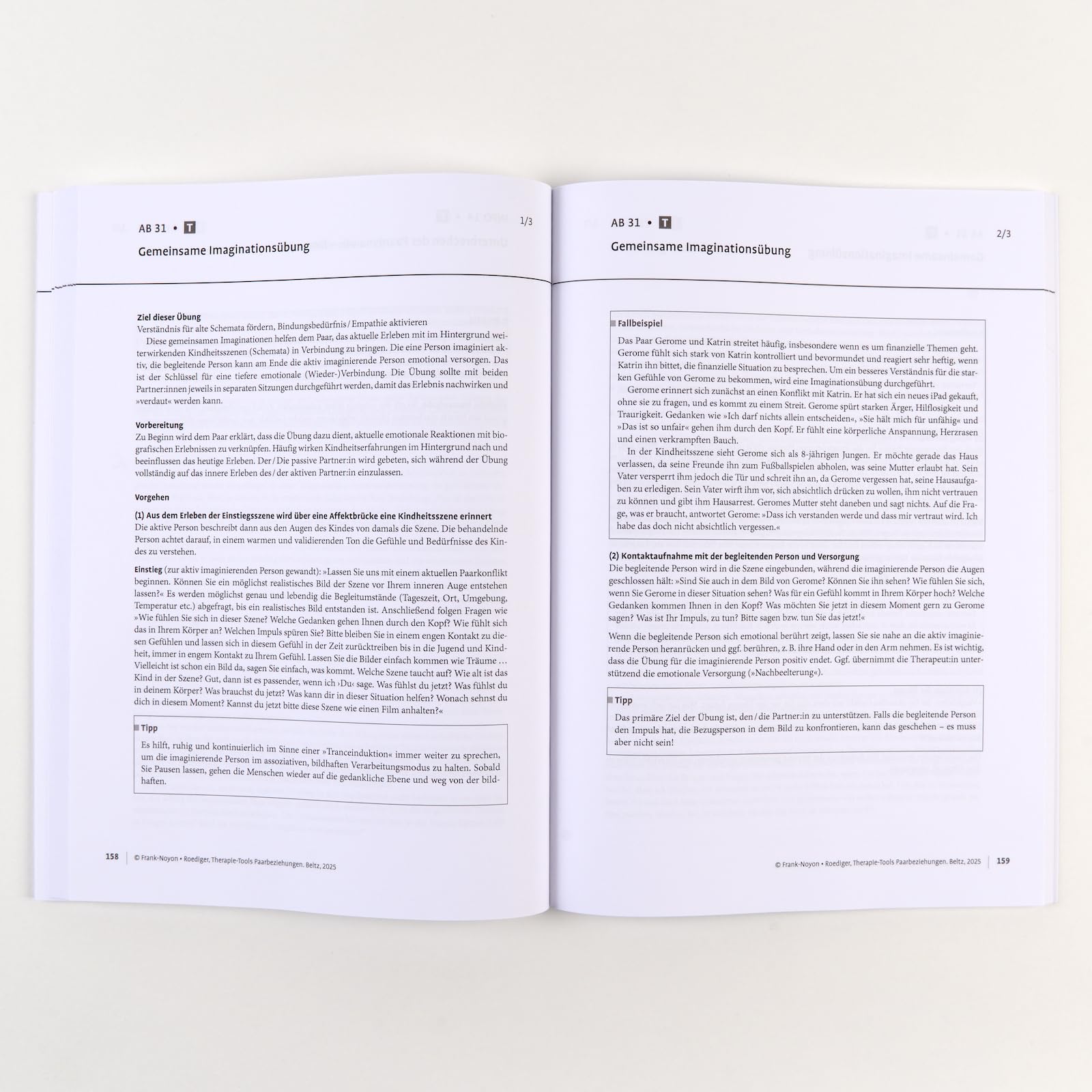 Therapie-Tools Paarbeziehungen: Mit E-Book inside und Arbeitsmaterial (Beltz Therapie-Tools)