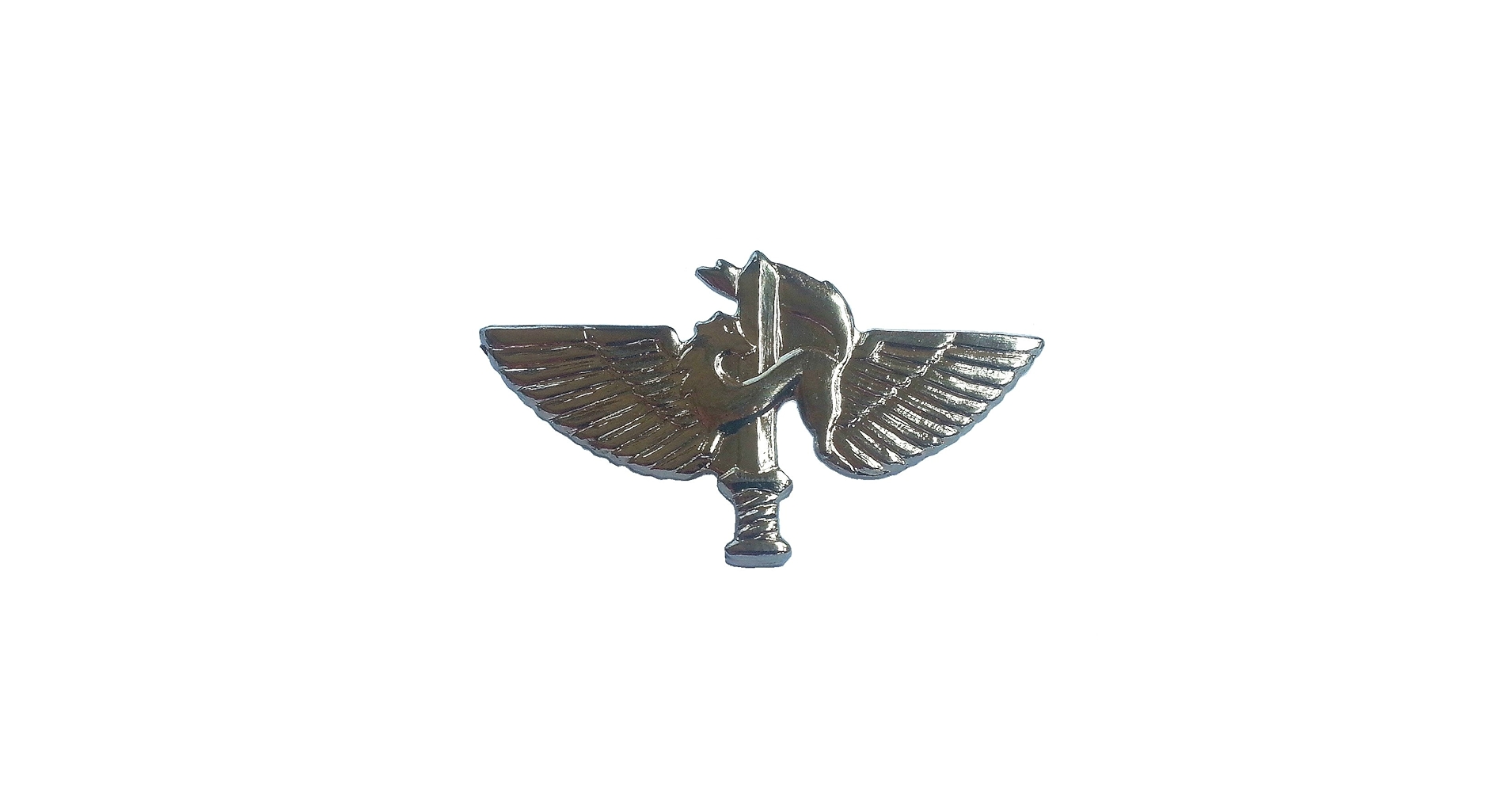 Amazon.com: Israeli army IDF Givati rangers unit badge