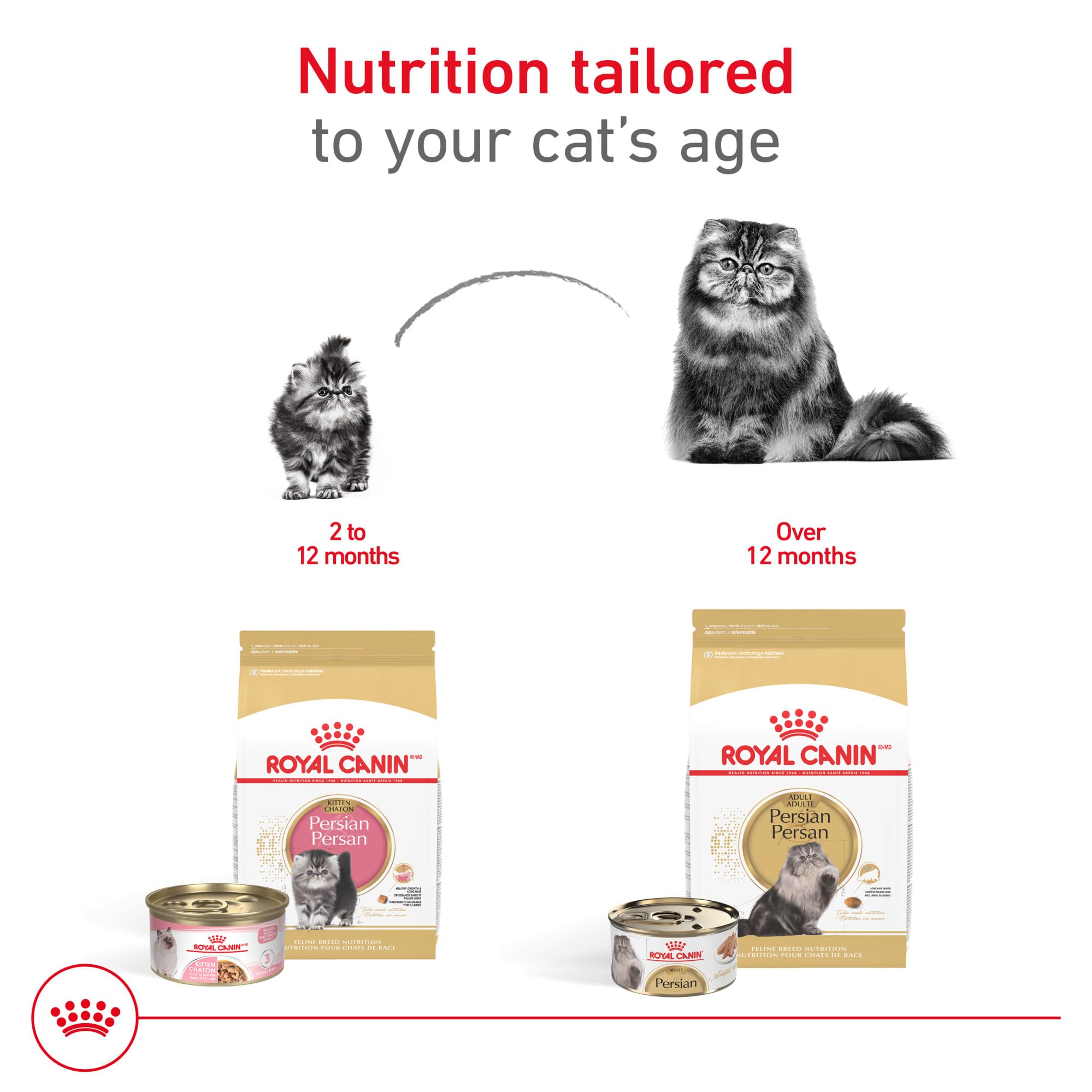 ROYAL CANIN BREED HEALTH NUTRITION Persian dry cat food, 7-Pound by Royal Canin