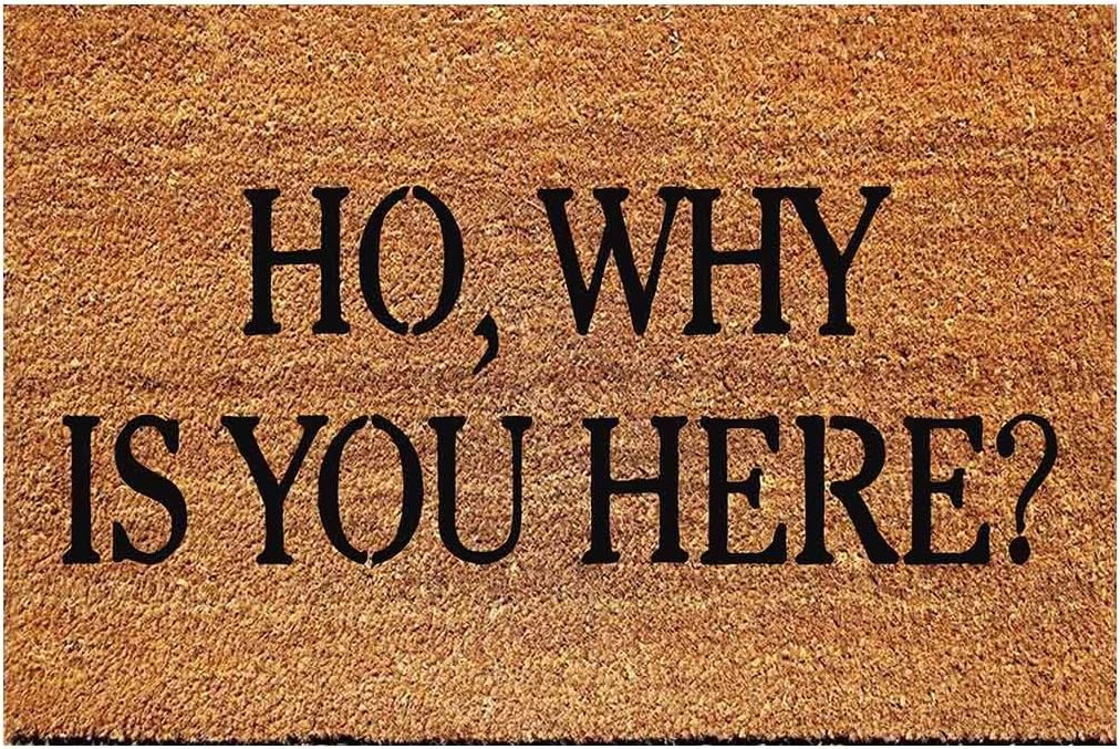 FAGGMY Funny Ho Why is You Here Entryway Outdoor Floor Mat with Heavy-Duty PVC Backing Non Slip Cursive Natural Coconut Coir Brown Mat with Black Font 23.7 x 15.7 inch