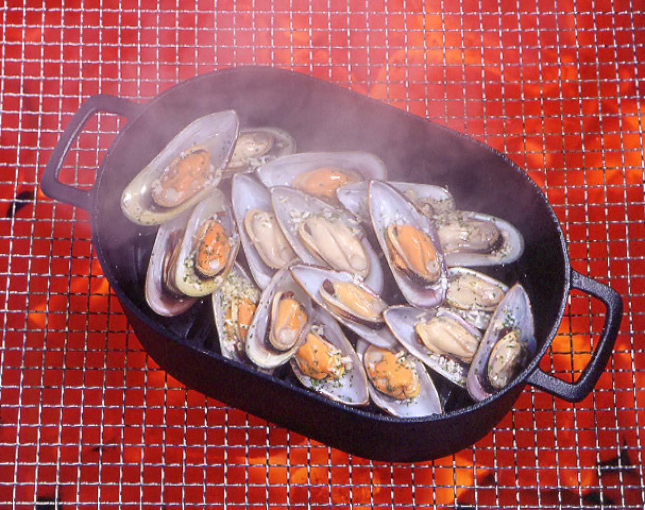 Four néerlandais 30 cm (type de cocotte en fonte) /IWACHU / Nambu Tekki /