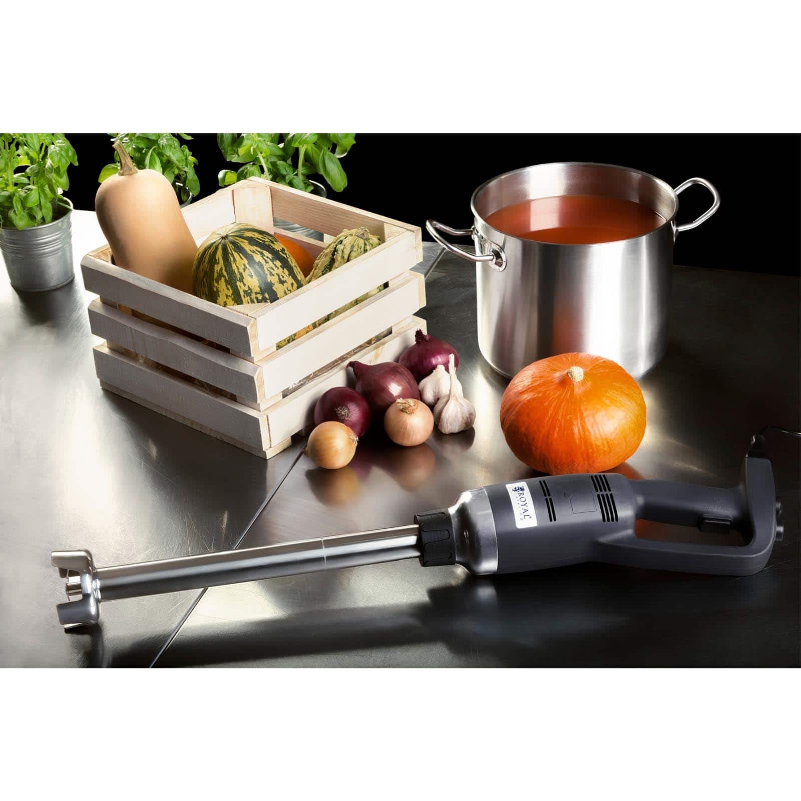 Royal Catering - RCSM-350-400P - Batidora de brazo profesional - 400 mm – de 6000 a 18000 RPM