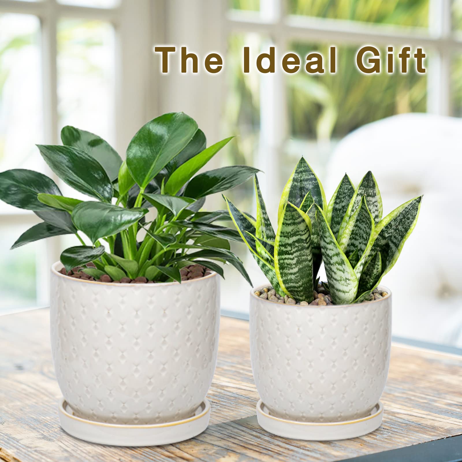 Oairse Set of 2 Ceramic Plant Pots Indoor 13cm 16cm White Ceramic Planter with Drainage Holes and Saucers Tray Beads Decorative Flower Pots for Succulent Cactus Houseplants Oairse Set of 2 Ceramic Plant Pots Indoor 13cm 16cm White Ceramic Planter with Drainage Holes and Saucers Tray Beads Decorative Flower Pots for Succulent Cactus Houseplants