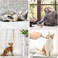 Vista 6 de Bissap 10 palitos masticables Silvervine para gatos, palitos masticables de hierba gatera, juguetes para gatos en interiores, dientes de gatitos