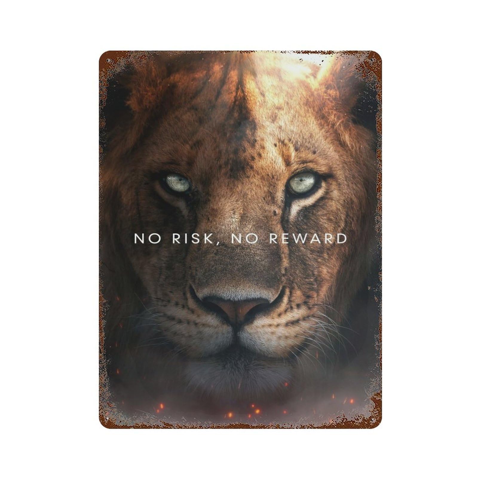 Vintage Metal Tin Sign No Risk No Reward 15.7"x11.8", Industrial Home Decor for Farmhouse, Kitchen And Entryway Decor